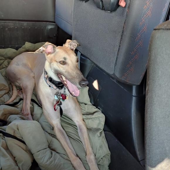 Happy Poshing! - Picture 8 of 13